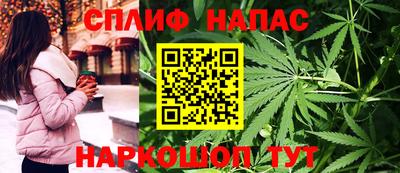 гашик Дубна