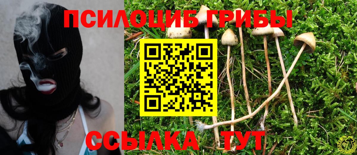 Красноярск  Галлюциногенные грибы Magic Shrooms  Галлюциногенные грибы Psilocybe  Вход с VPN 